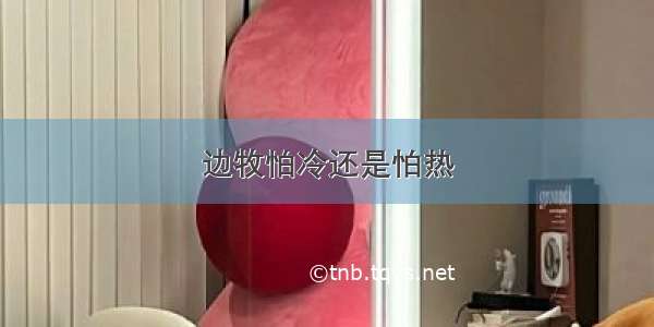 边牧怕冷还是怕热