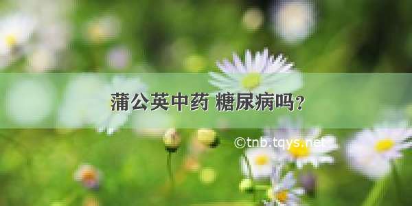 蒲公英中药 糖尿病吗？