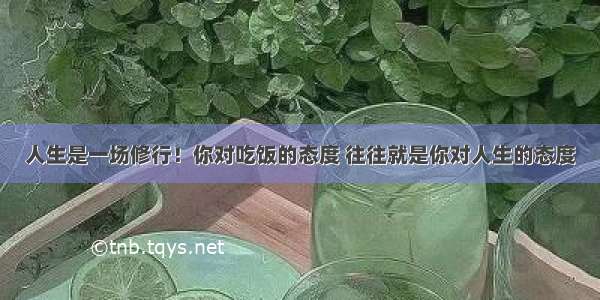 人生是一场修行！你对吃饭的态度 往往就是你对人生的态度