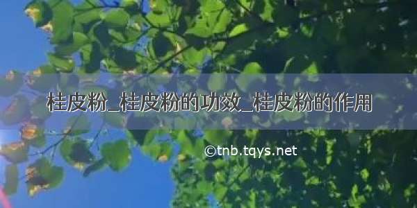 桂皮粉_桂皮粉的功效_桂皮粉的作用