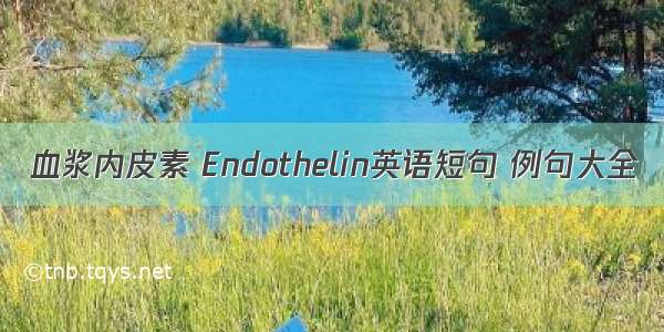 血浆内皮素 Endothelin英语短句 例句大全