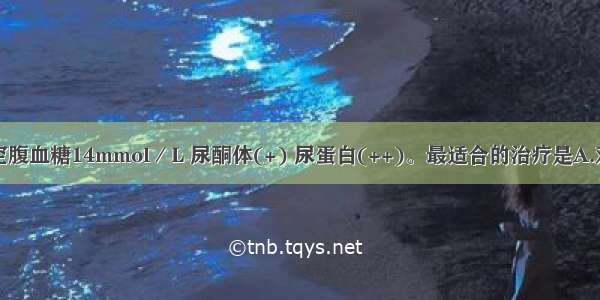 糖尿病患者空腹血糖14mmol／L 尿酮体(+) 尿蛋白(++)。最适合的治疗是A.双胍类降糖药