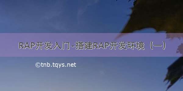 RAP开发入门-搭建RAP开发环境（一）