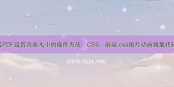 CAD转PDF设置页面大小的操作方法 – CSS – 前端 css图片动画效果代码大全