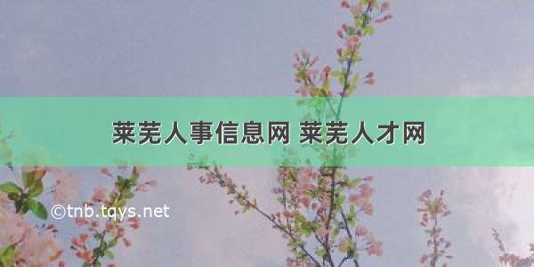 莱芜人事信息网 莱芜人才网