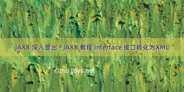 JAXB 深入显出 - JAXB 教程 Interface 接口转化为XML