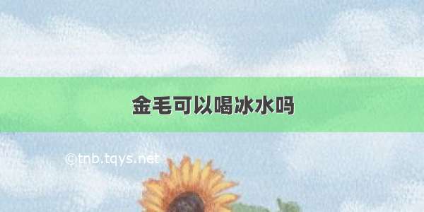 金毛可以喝冰水吗