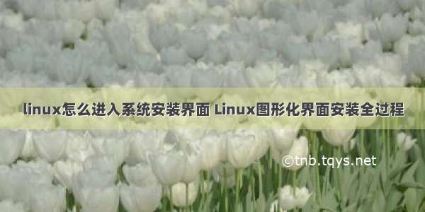 linux怎么进入系统安装界面 Linux图形化界面安装全过程