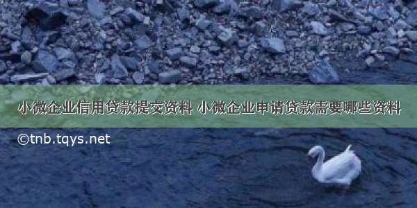 小微企业信用贷款提交资料 小微企业申请贷款需要哪些资料