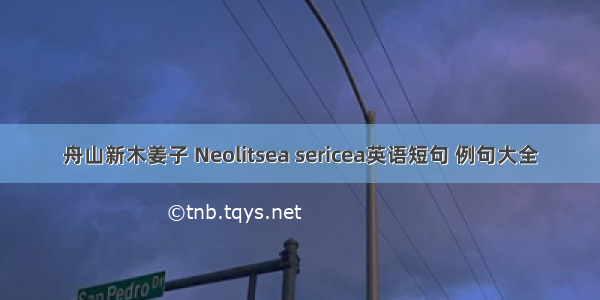 舟山新木姜子 Neolitsea sericea英语短句 例句大全