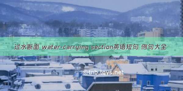 过水断面 water-carrying section英语短句 例句大全