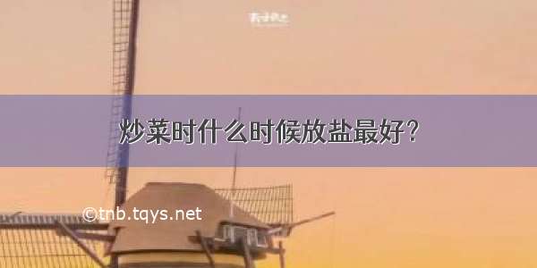 炒菜时什么时候放盐最好？