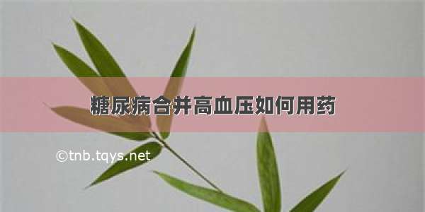 糖尿病合并高血压如何用药