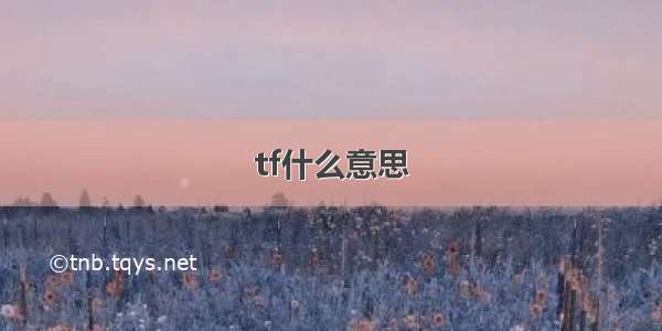 tf什么意思