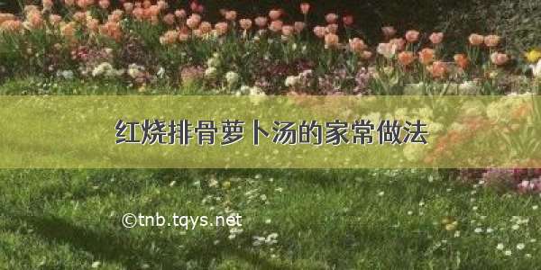 红烧排骨萝卜汤的家常做法