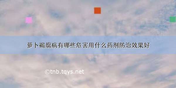 萝卜褐腐病有哪些危害用什么药剂防治效果好