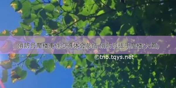 消防员爬楼事件心得体会总结 消防员徒手爬楼(六篇)