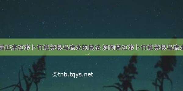 最正宗红萝卜竹蔗茅根马蹄水的做法 如何做红萝卜竹蔗茅根马蹄水