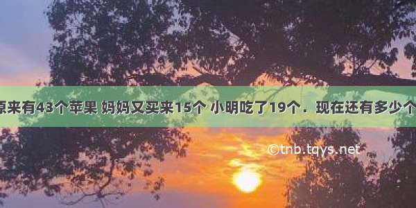 家里原来有43个苹果 妈妈又买来15个 小明吃了19个．现在还有多少个苹果？