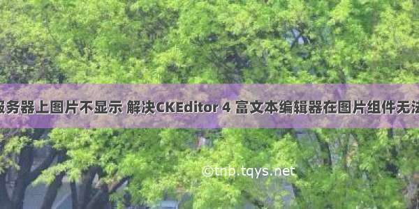 富文本在服务器上图片不显示 解决CKEditor 4 富文本编辑器在图片组件无法显示[上传