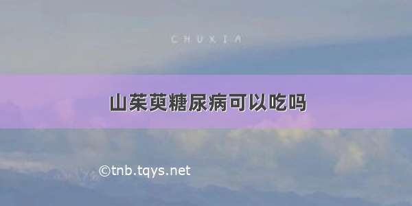 山茱萸糖尿病可以吃吗