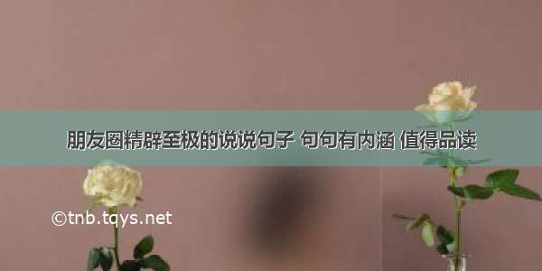 朋友圈精辟至极的说说句子 句句有内涵 值得品读