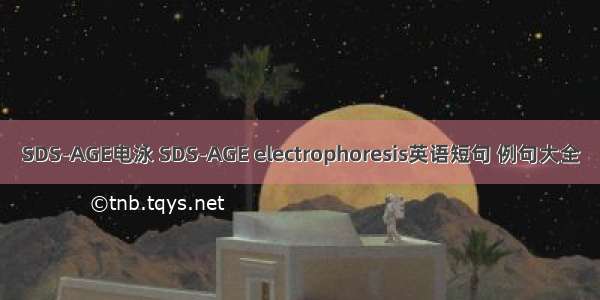 SDS-AGE电泳 SDS-AGE electrophoresis英语短句 例句大全