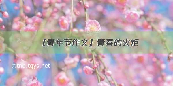 【青年节作文】青春的火炬