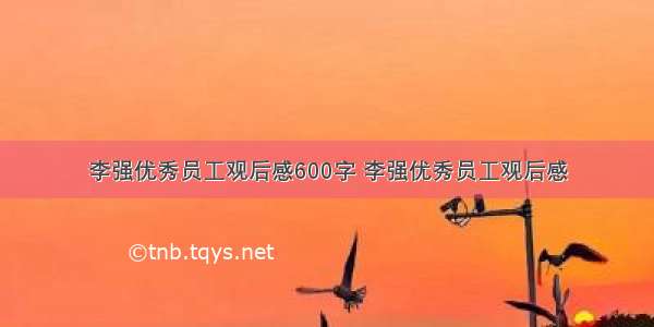 李强优秀员工观后感600字 李强优秀员工观后感