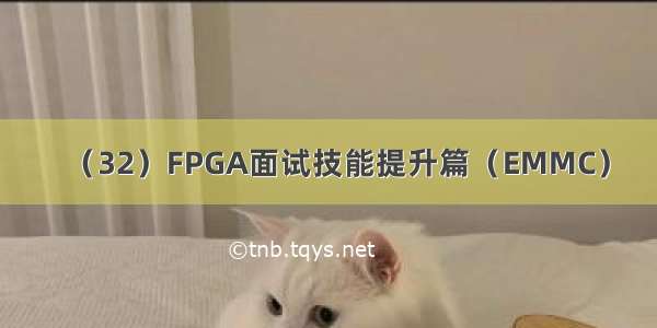 （32）FPGA面试技能提升篇（EMMC）