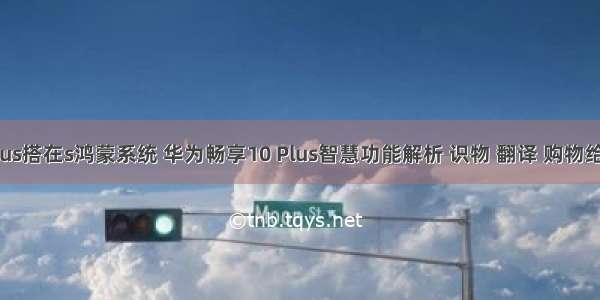 华为畅享10plus搭在s鸿蒙系统 华为畅享10 Plus智慧功能解析 识物 翻译 购物给你快捷体验...