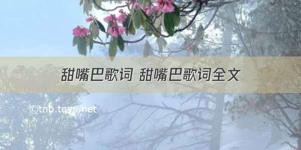 甜嘴巴歌词 甜嘴巴歌词全文