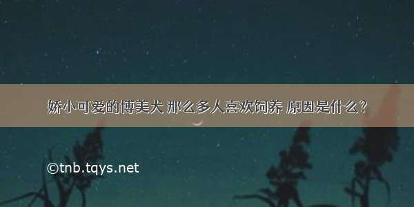 娇小可爱的博美犬 那么多人喜欢饲养 原因是什么？