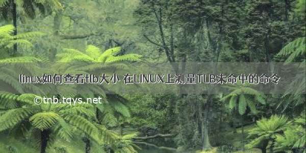 linux如何查看tlb大小 在LINUX上测量TLB未命中的命令