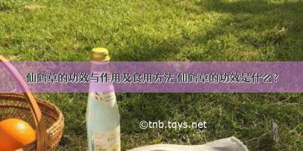 仙鹤草的功效与作用及食用方法 仙鹤草的功效是什么？