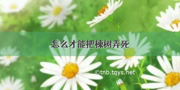 怎么才能把楝树弄死