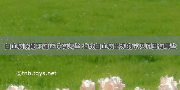 白血病晚期死前症状有哪些 造成白血病出现的常见原因有哪些