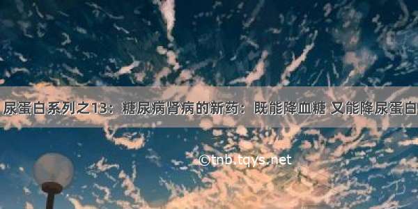 尿蛋白系列之13：糖尿病肾病的新药：既能降血糖 又能降尿蛋白