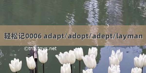 轻松记0006 adapt/adopt/adept/layman