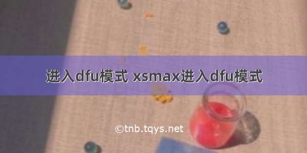 进入dfu模式 xsmax进入dfu模式