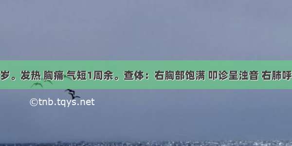 患儿男 8岁。发热 胸痛 气短1周余。查体：右胸部饱满 叩诊呈浊音 右肺呼吸音减弱