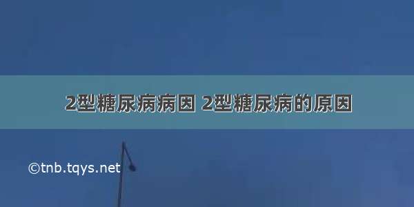 2型糖尿病病因 2型糖尿病的原因