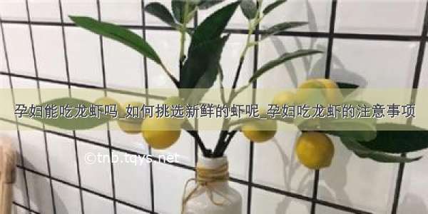 孕妇能吃龙虾吗_如何挑选新鲜的虾呢_孕妇吃龙虾的注意事项