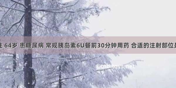 患者男性 64岁 患糖尿病 常规胰岛素6U餐前30分钟用药 合适的注射部位是A.腹部