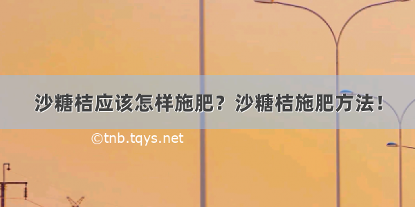 沙糖桔应该怎样施肥？沙糖桔施肥方法！