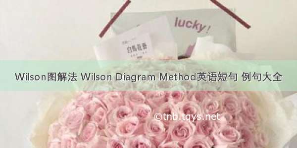 Wilson图解法 Wilson Diagram Method英语短句 例句大全