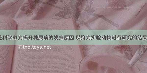 下面是科学家为揭开糖尿病的发病原因 以狗为实验动物进行研究的结果：       