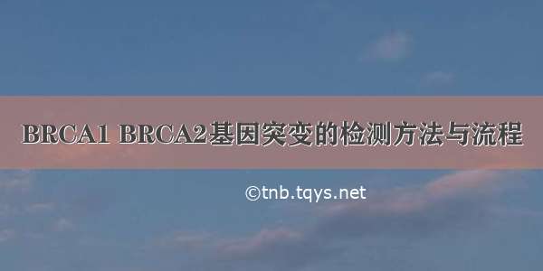 BRCA1 BRCA2基因突变的检测方法与流程