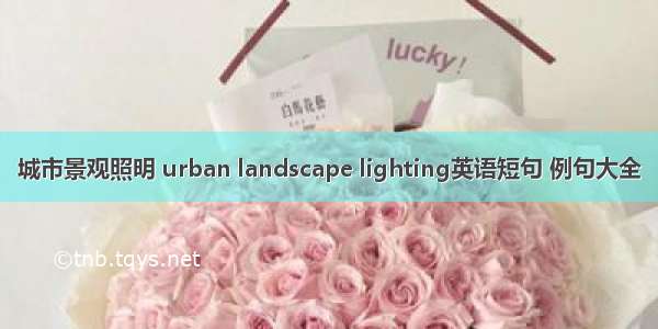 城市景观照明 urban landscape lighting英语短句 例句大全