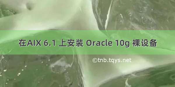 在AIX 6.1 上安装 Oracle 10g 裸设备